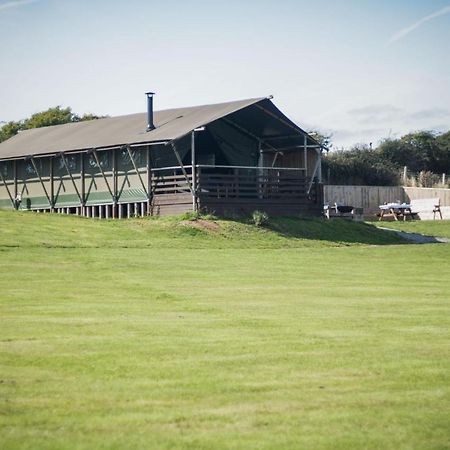 Whiteford - Safari Glamping Tent - Llangennith Hotel Room photo