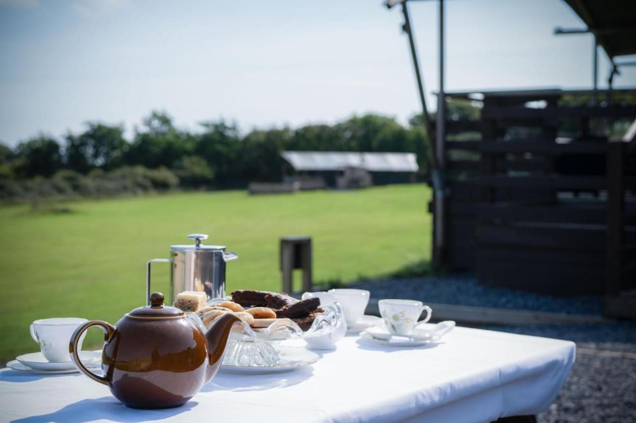 Whiteford - Safari Glamping Tent - Llangennith Hotel Room photo